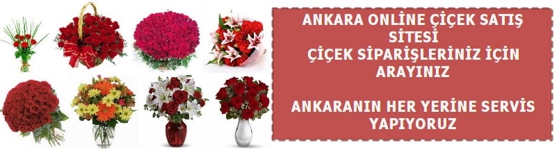 Ankara Krkkonaklar iek sat
