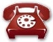 Ankara �i�ek sipari�i telefon bilgileri