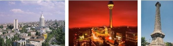 Ankara çiçekçi telefonları