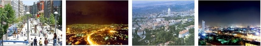 Ankara çiçek siparişi