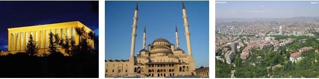 ankara saksı bitkileri satışı