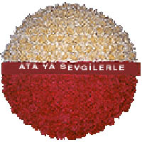 Ankara  �i�ek�i firmam�zdan  An�tkabir i�in �i�ek �elenk modeli