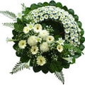 Ankara Elvankent �i�ek�i firma �r�n�m�z  cenazeye �i�ek �eleng modeli Ankara �i�ek g�nder firmas� �ahane �r�n�m�z 