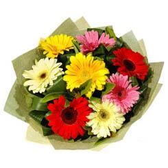 Ankara Ke�i�ren �i�ek�i firma �r�n�m�z  Kar���k renkte gerbera �i�ekleri