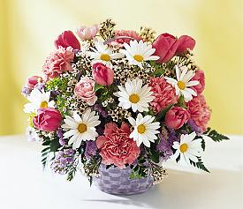 Ankara �i�ek�i d�kan� en �ok sat�lan �r�n�m�z  Sepette Kar���k mevsim sepeti �i�e�i Ankara �i�ek g�nder firmas� �ahane �r�n�m�z 
