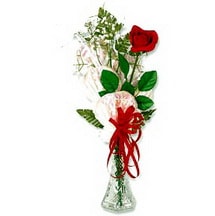 Kaliteli ve fiyat� ucuz bir �r�n  Cam i�inde masum tek g�l Ankara �i�ek g�nder firmas� �ahane �r�n�m�z 