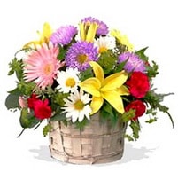 Ankara �i�ek sipari�i sitemizin g�rsel �r�n�  k�r �i�eklerinden mevsim sepeti Ankara �i�ek g�nder firmas� �ahane �r�n�m�z 