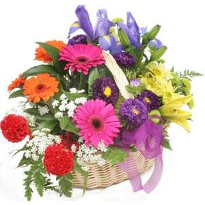 Ankara �i�ek sipari�i sitemizin g�rsel �r�n�  Kar���k mevsim sepeti �i�e�i Ankara �i�ek g�nder firmas� �ahane �r�n�m�z 