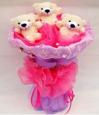15 cm boyutlar�nda 3 adet ay�c�ktan g�rsel pelu� demet 