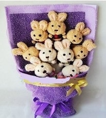 9 adet oyuncak hediye pelu� tav�anc�k g�rsel demet 