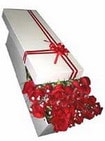 Ankarade farkl� bir �i�ek firmas� �r�n�   G�rsel �i�ek sunumu 11 adet k�rm�z� g�l